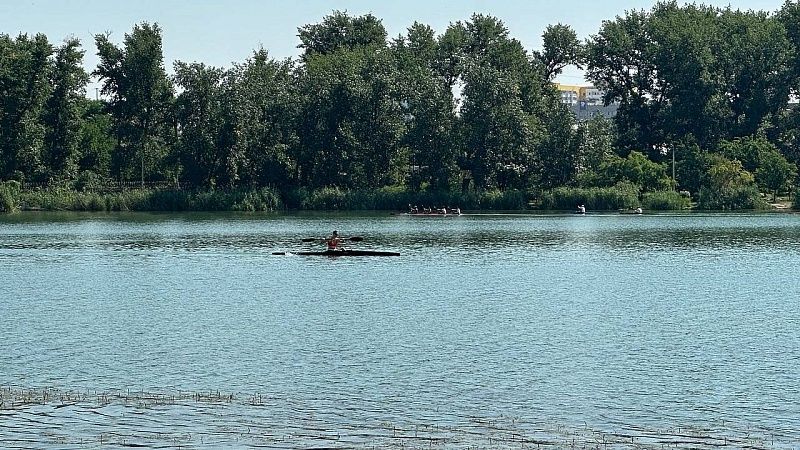 Рыбаки поймали 100-килограммового сома и разбогатели в Индии