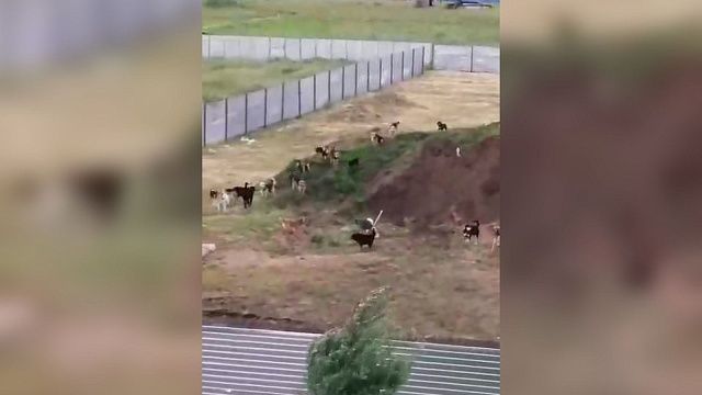 Фото: соцсети