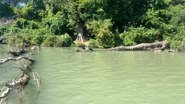 Фото: телеканал «Краснодар»