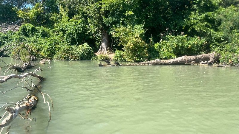 Три человека погибли за сутки на водоемах Кубани