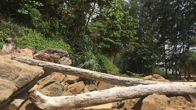 Фото: телеканал «Краснодар»