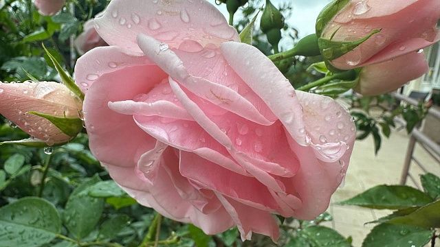 Осадки и ветер обещают на Кубани 2 июня