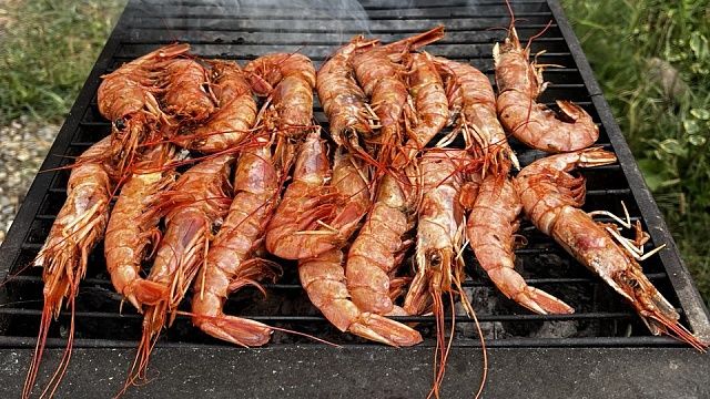 Гигантских креветок начали культивировать на Юге России