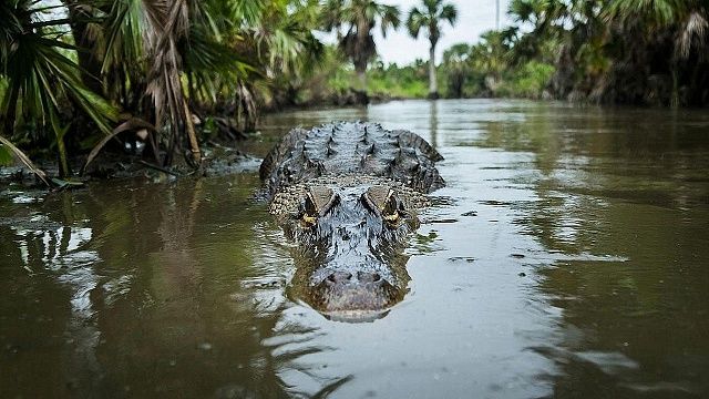 Изображение создано при помощи ИИ.