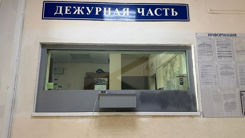 Мигранты-нелегалы трудились у фермеров в теплицах Красноармейского района