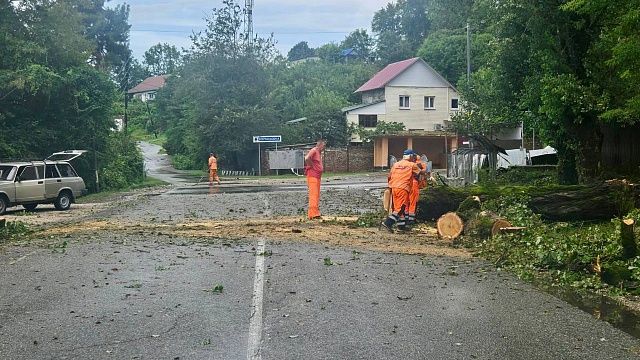 Последствия сильных дождей начали ликвидировать в Сочи