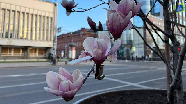 Праздник прихода весны Фото: Телеканал «Краснодар»