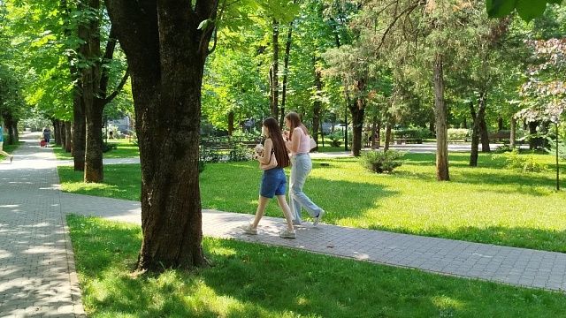 фото: Телеканал Краснодар