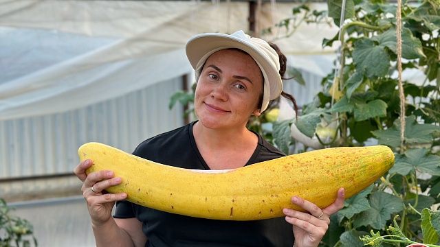 Жительница Кубани рассказала, как ей удалось вырастить овоща-гиганта. Фото: Книга рекордов России / knigarekordovrossii.ru