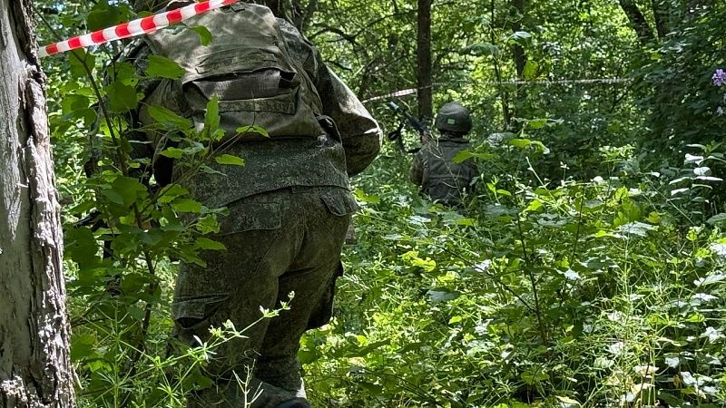Военэксперт: проблему Одессы и Харькова Россия может решить только военным путём