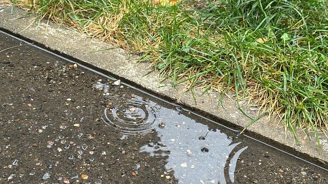 Фото: телеканал «Краснодар»