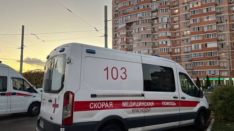 Житель Сочи рассказал о моменте, как хаски едва не растерзали ребенка