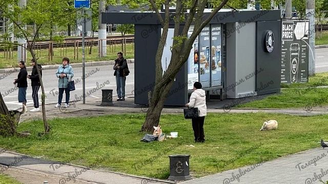 Фото: t.me/chpkrasnodara