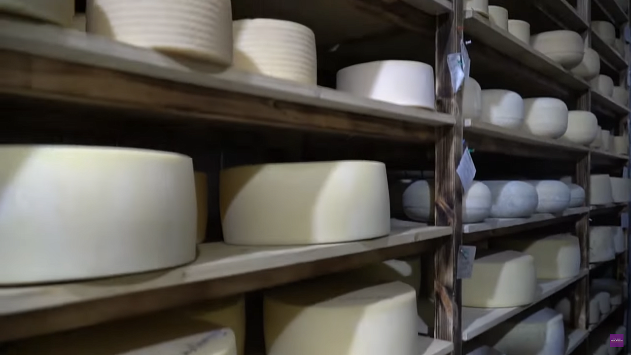 На Кубани в селе Варнавинском производят множество сортов сыра. Видео: Телеканал «Краснодар»