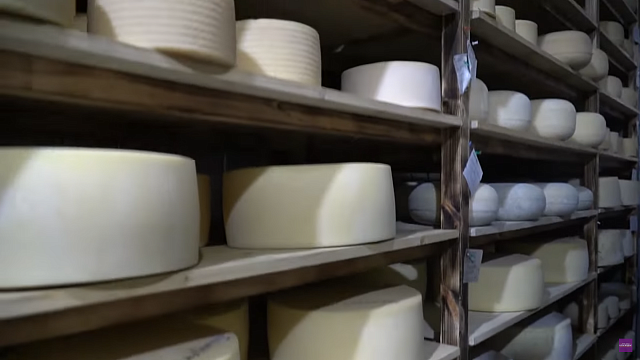 Сырное импортозамещение: рассказываем, где на Кубани производят свои моцареллу и буратту 