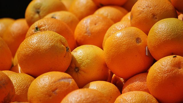 В порту Новороссийска обнаружили 350 тонн зараженных фруктов и овощей
