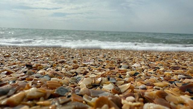 Руппель заявил, что все детские лагеря Анапы получили допуск, но без пляжей