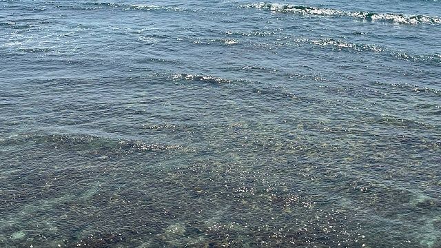 Океанолог Сапожников: прибрежным городам России грозит затопление к концу века