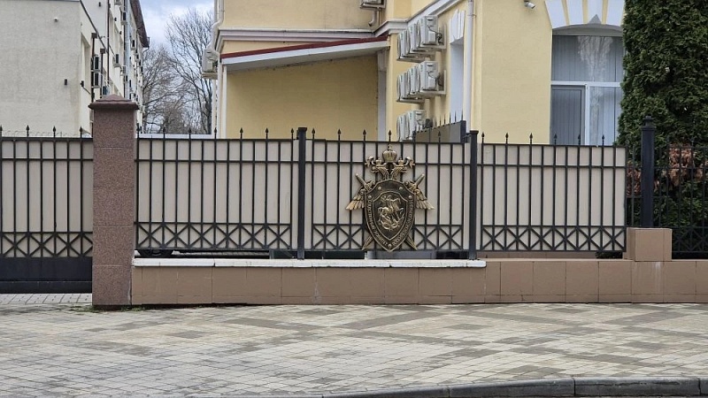 Бастрыкин потребовал доклад по делу об избиении мальчика с онкологией на Камчатке