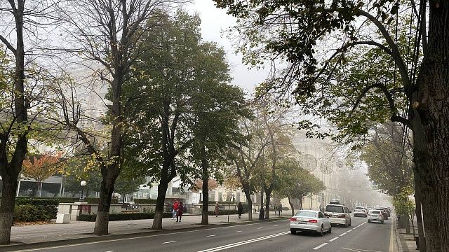 Фото: телеканал «Краснодар»