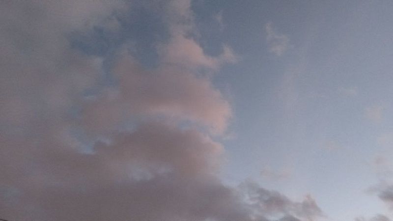 Появилось видео из Карачаево-Черкессии, где от молнии погибли пастух и стадо 