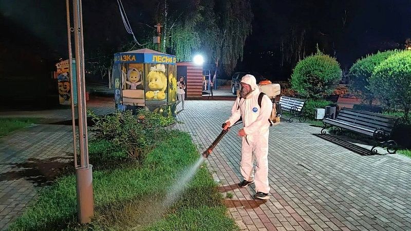 Скверы обработают от клещей в ночь с 4 на 5 июня в Краснодаре