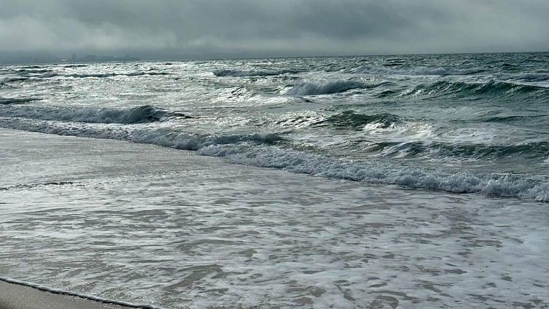 Сейсмолог Шебалин рассказал, может ли японское цунами дойти до берегов России