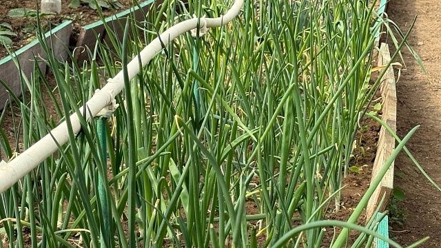 Фото: телеканал «Краснодар»