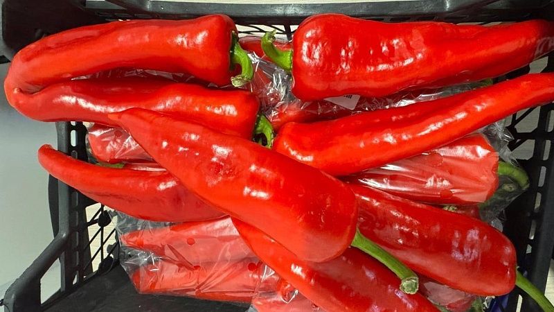 Более 13 тонн турецкого перца с опасным вредителем обнаружили в порту Туапсе