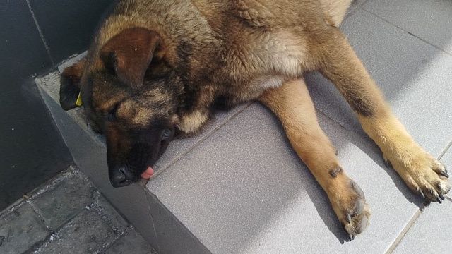 Фото: телеканал «Краснодар»