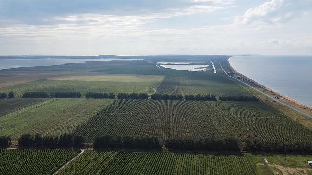 Комплекс по производству аммиака начнут строить в 2026 году в Темрюкском районе