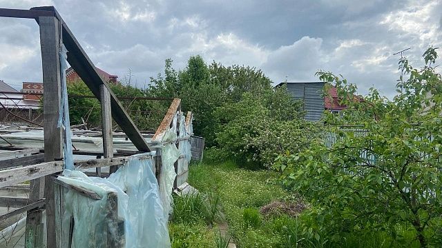 Биолог Воробьев рассказал, как защитить грядки от июньской непогоды 