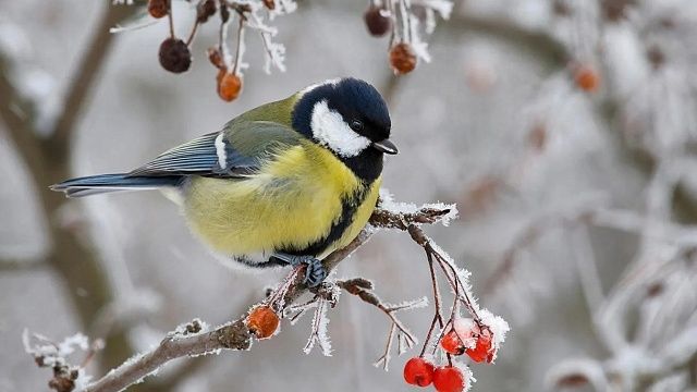 Изображение создано с помощью ИИ
