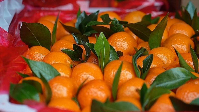 Донецкие малыши получили подарки от Краснодара. Новости 26 декабря