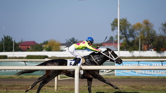 Открытие скакового сезона на Краснодарском ипподроме состоится 10 июня