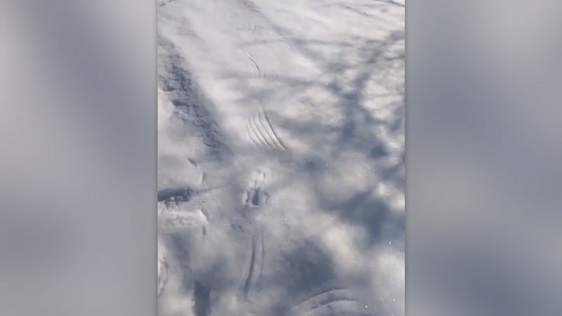 Леопард кошмарит жителей посёлка Тульский в Адыгее