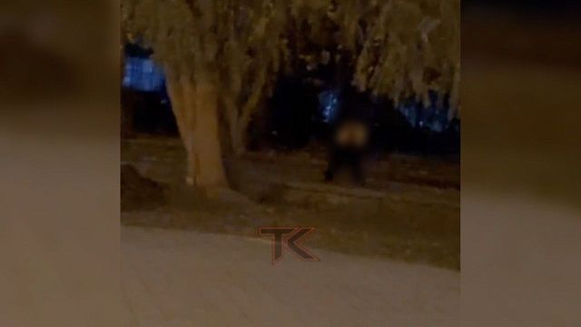 Полиция Краснодара ищет извращенца, разгуливавшего в Чистяковской роще