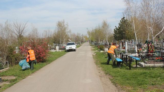 Мэр Краснодара поручил навести порядок на кладбищах и ввести дополнительные временные маршруты к ним