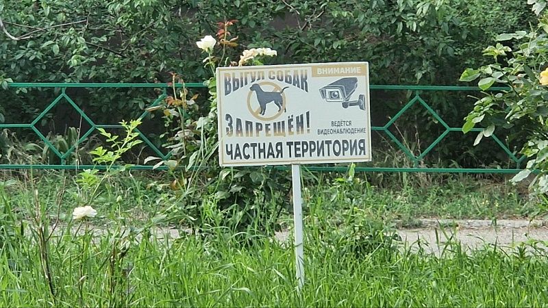 Юрист Черноусов рассказал о наказании за неубранные биологические отходы собак