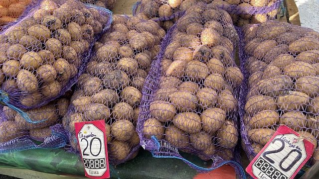 Картошка от 20 рублей: цены на ярмарках Краснодара в феврале-2024