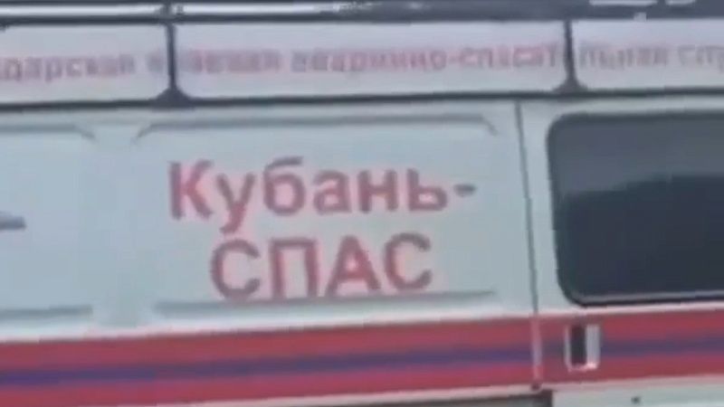 Котёнка спасли из канализации с помощью записи мяуканья в Кропоткине