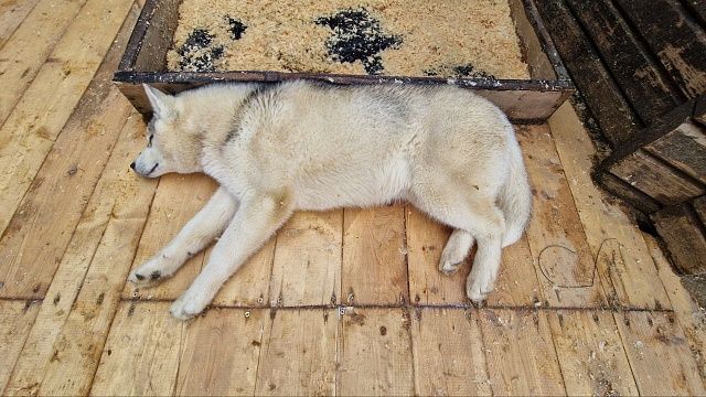 Фото: телеканал «Краснодар»