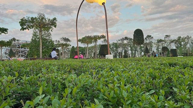 Облачно и до 25 градусов тепла ожидается в Краснодаре 11 сентября