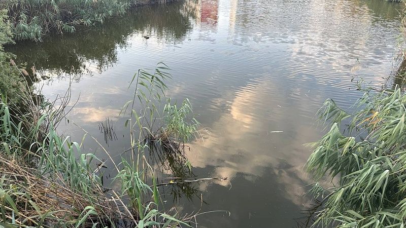 Водоем Шимозеро исчез в Вологодской области 