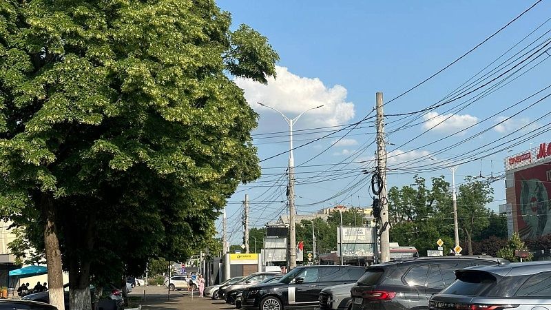 За климатическую норму выйдет температура воздуха на Кубани этим летом