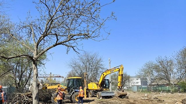 В Краснодаре приступили к уборке старых и аварийных деревьев. Фото: https://t.me/krasnodar_tram