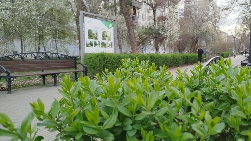 Майское тепло к концу недели придет на Кубань