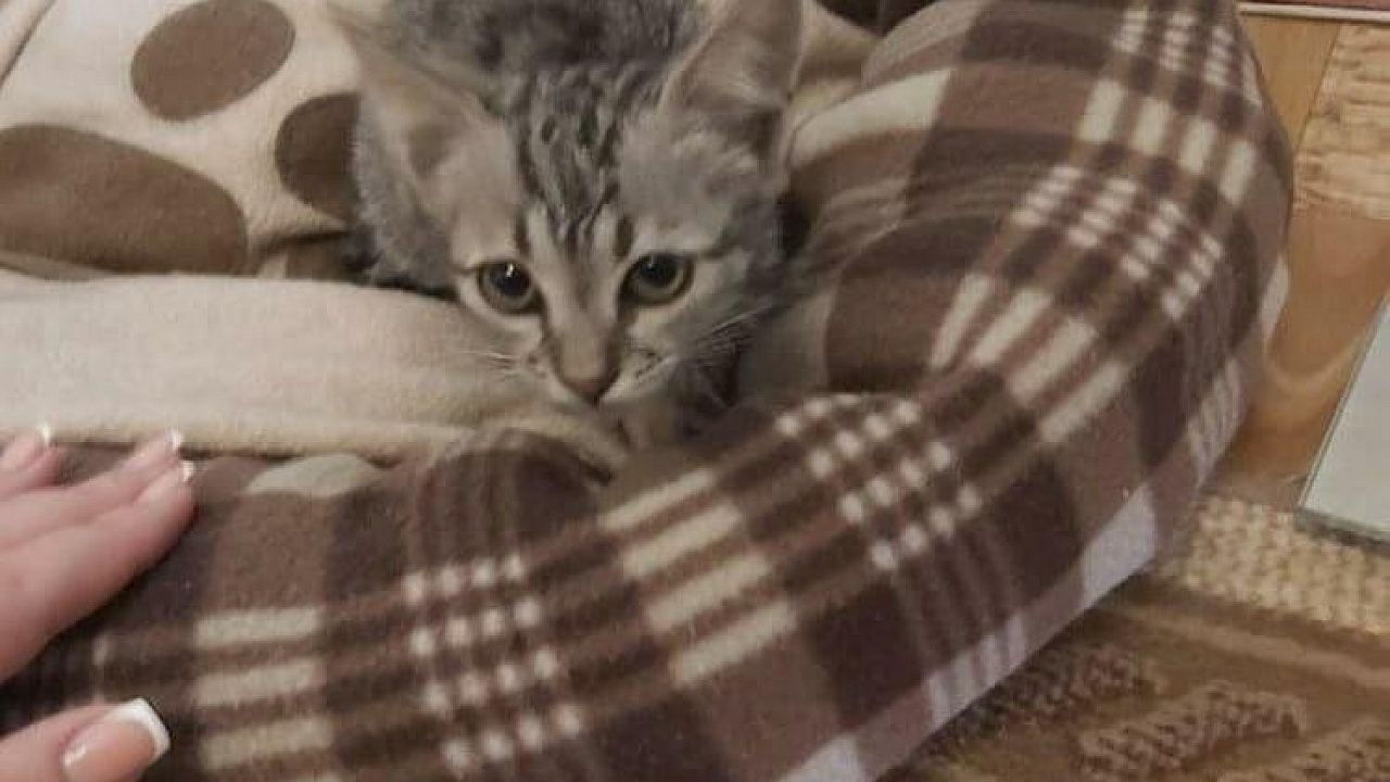 instagram.com/zinirina.v