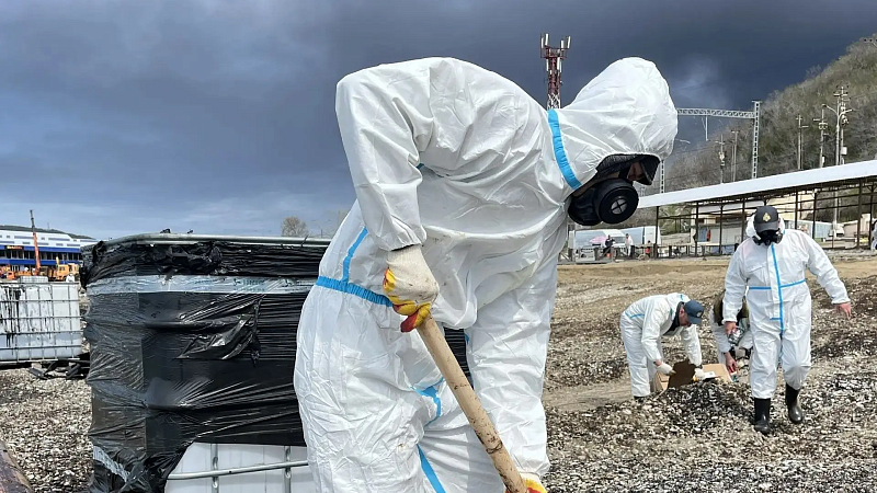 Появились кадры работы специалистов на береговой линии в Туапсе