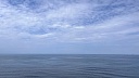 Рекордная смертность зафиксирована в Луизиане из‑за бактерии Vibrio vulnificus
